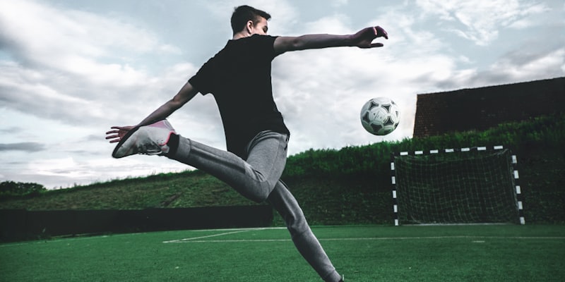 国际足联世界杯官方认证标志 - FIFA认证徽章