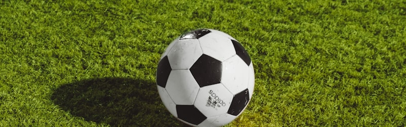 世界杯比赛现场全景 - 座无虚席的体育场与绿茵场